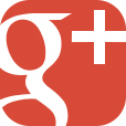 YSI Google Plus icon